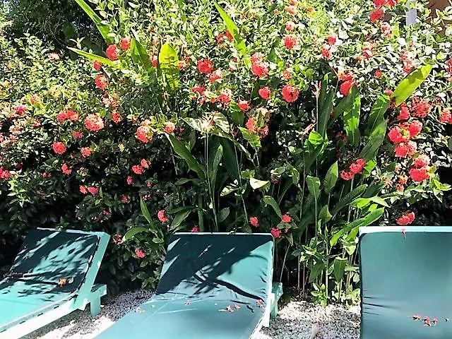 Tobago Hibiscus Golf Villas & Appartments Mount Irvine 4*,  Trinidad And Tobago